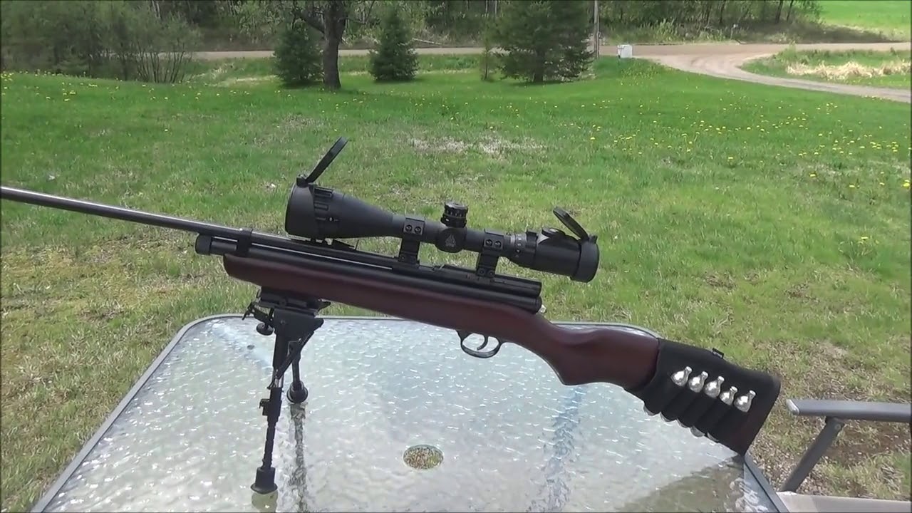 Best Pellet Gun for Hunting: Safety Use Tips