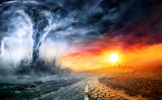 The Top 3 Things You Can Do to Survive a Natural Disaster Amidst the Destruction