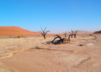 8 Tips To Survive In A Desert During An Extreme Situation.