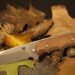 How-To-Survive-In-The-Wild-With-Nothing-But-A-Knife-Survivor-Daily