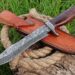 The-Most-Important-Things-to-Look-for-in-a-Survival-Knife-Survival Daily