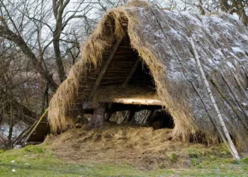 How-to-build-a-DIY-emergency-shelter-using-natural-resources-survivordaily