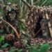 Master Wilderness Survival: How to Set Up a Camouflaged Hunting Blind