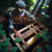 Uncover Survival Secrets: Build Your Own Hidden Trapdoor Bunker