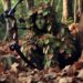 Master Wilderness Skills: How to Set Up a Camouflaged Hunting Blind